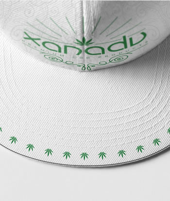 Xanadu 6 panel snap back trucker cap, green on white - top