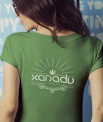 Xanadu Baby Rib Short-Sleeve Scoop Neck T-Shirt - back, green